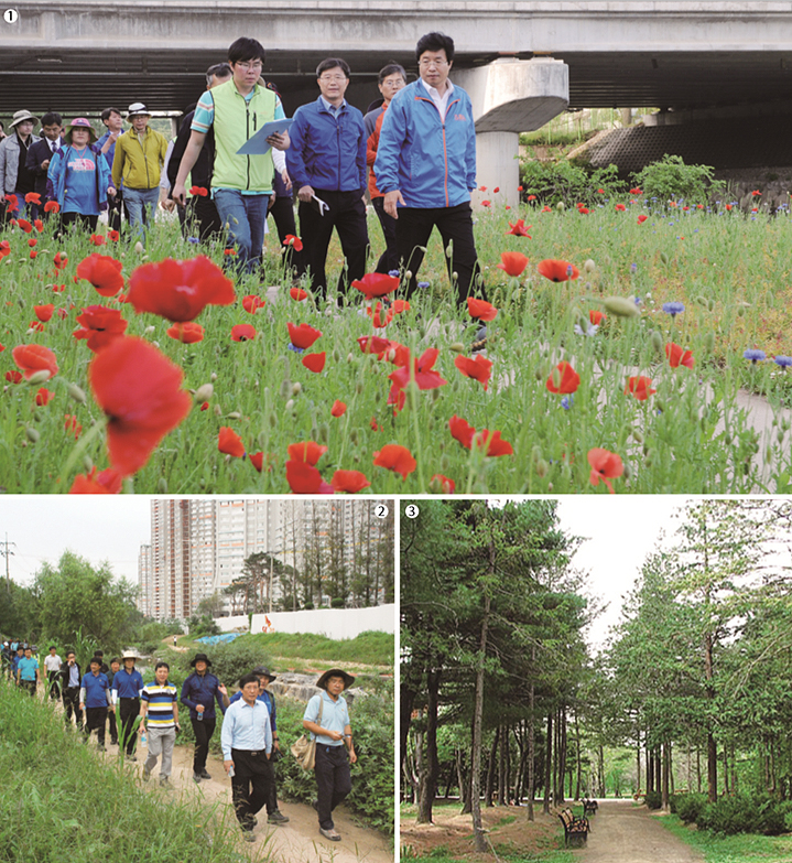 매실길(생태자연길),모수길(도심속 생명의 길), 서호천 일원,여우길(녹음이 푸르른길), 아주대 뒷산(광교)