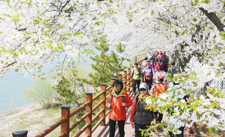 광교산 산책길 걸어보셨나요?